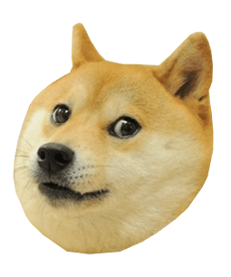 :realdoge:
