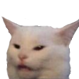 :confusedcat: