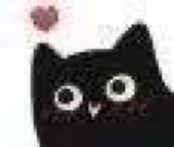 :11135: