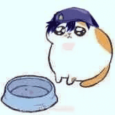 :yang16: