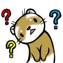 :ferret_confused: