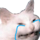 :DUMBcat: