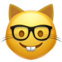 :nerdcat: