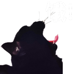 :doghair8: