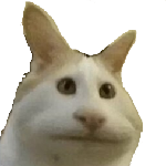:bljad: