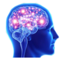 :xf_transcendentalbrain: