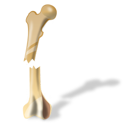 :bone: