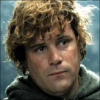 :cine_lotr_sam:
