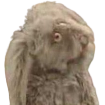 :ruth: