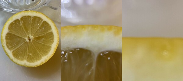 if u zoom in far enough on the edge of a lemon slice u can clearly see that it is flat haha CHECKMATE SCIENCE