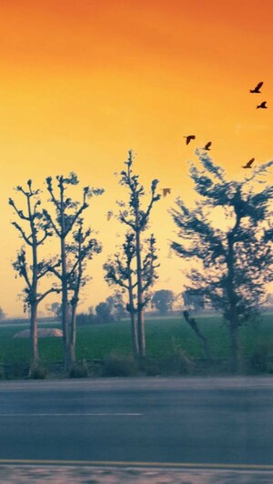 The sky
