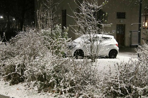 Schnee auf Gehölzen