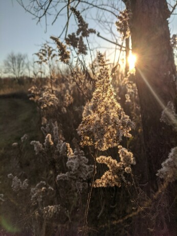 Fall in the prairie