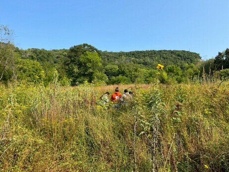 People in a field of plants - mostly grasses and goldenrods - with trees in the distance and a blue sky. These are students doing a plant survey as part of a Plant Ecology course.