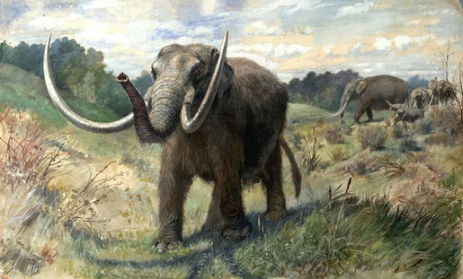 Charles Knight's wonderful oil painting of a small herd of American mastodon.