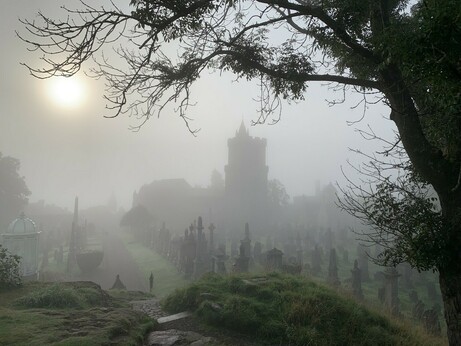 A photo of a misty graveyard. A church can be seen through the mist with a tree in the foreground framing it.