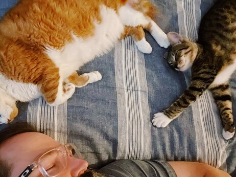 Close up pic looking down at me and two of my cats napping on a bed.