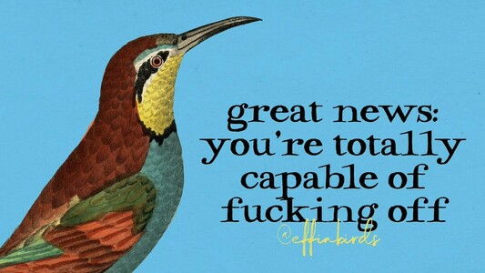 A painting of a bird beside the text "great news: you're totally capable of fucking off"