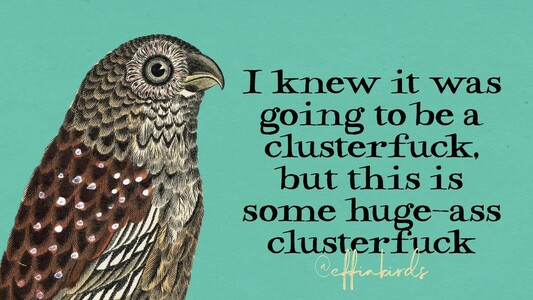 A painting of a bird beside the text "I knew it was going to be a clusterfuck, but this is some huge-ass clusterfuck"