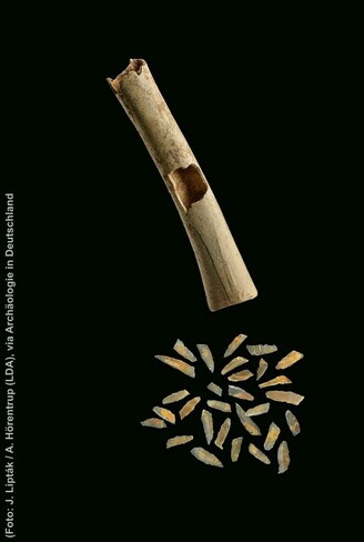 Photo of a part of a large bone, apparently hollow. It shows a window-like opening in the side. Underneath a number of very small flintstone blades can be seen.