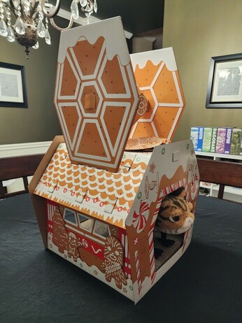 Gingerbread cat house