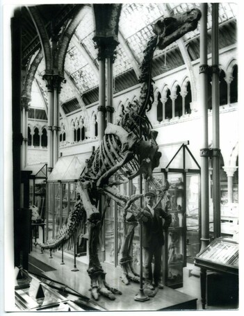 The Iguanodon, which still stands in the main court. This image is from 1930.