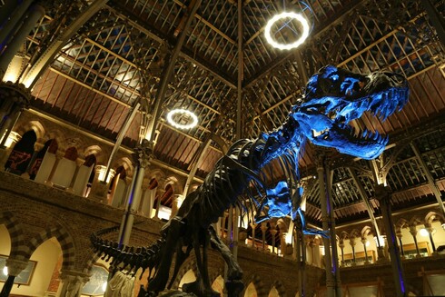 The articulated T. rex, up-lit with blue light, and above him our glass roof and intricate pillars are highlighted
