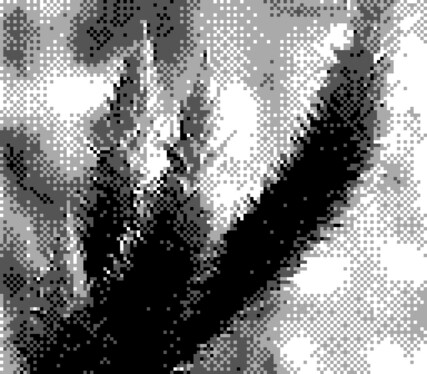 A macro Game Boy Camera photo of 3 plant tufts