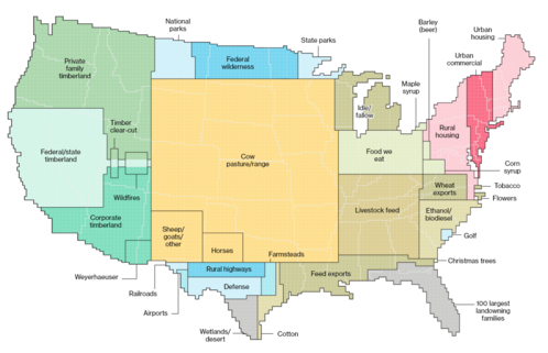 This 8,000 pixel weighted cartogram of the United States shows the distribution of land for different purposes, including cow pastures, timberland and urban housing areas.