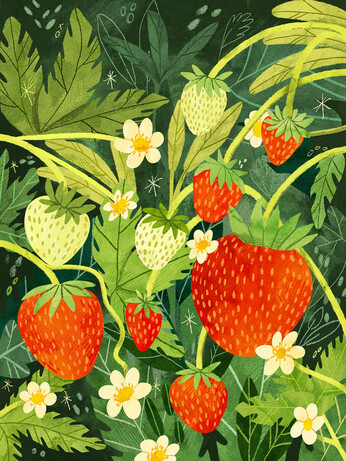 A digital drawing of strawberries among leaves, some strawberries are bright red, and some are white from not being ripe yet. Surrounding them are small white flowers, and bright green leaves fading to dark turquoise the further in the background they are. Around the page are small scribbled details and sparkles.