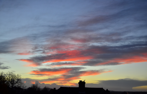Portrait of sunset.