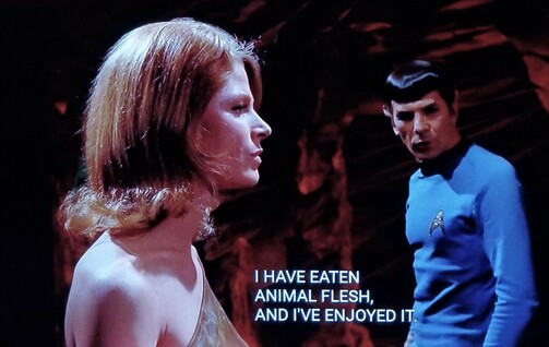 Spock is in a cave, looking at a women, also in a cave (it's the same cave). She's looking off to the distance away from Spock, and he's staring right at her. Closed caption reads, "I have eaten animal flesh, and I've enjoyed it."