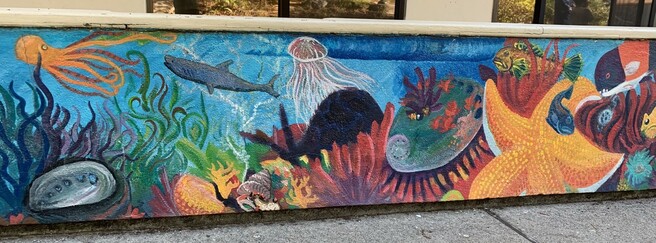 A part of a mural painted on a wall. It is an ocean scene with a shark, a jellyfish floating, a big orange sea star, sea grass, and other ocean creatures.