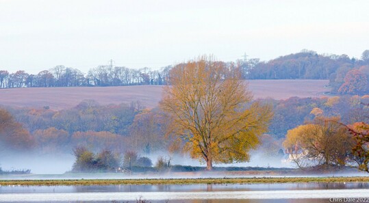 The village of Binsey seen from across art Meadow and the River Thames. There is blue mist at low level. The dominant trees are mainly autumnal yellow