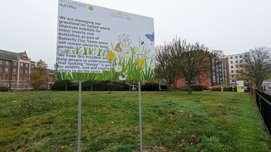 Educational panel explaining new management regime for grassland
