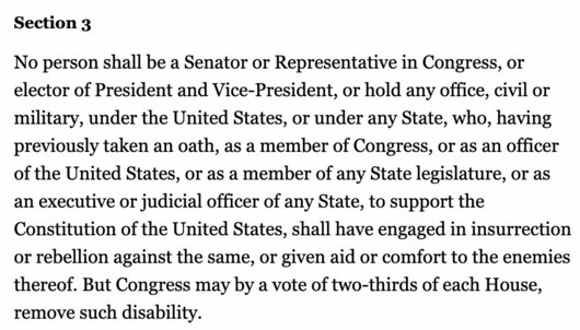 Screenshot of 14th Amendment, section 3. "No person shall be a senator or representative in Congress, or elector of president and vice-president, or hold any office, civil or military, under the United States, or under any state, who, having previously taken an oath, or as a member of any State legislature, or as an executive or judicial officer of any state, to support the Constitution of the United States, shall have engaged in insurrection or rebellion against the same, or given aid or comfort to the enemies thereof."