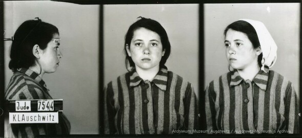 A mugshot of a female prisoner of Auschwitz photographed in three positions. The camp number is visible on a sign on the left side.