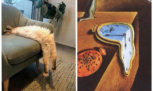 Melting clock art vs.  cat melting off a chair.