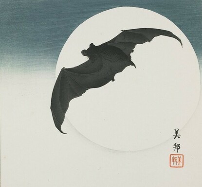 A bat flys with outstretched wings before a full moon in the sky.