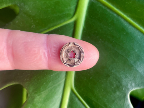 Landscape photo of a finger holding a small fossilised crinoid ossicle. The crinoid is disc shaped and has a star shaped hole in the centre. This is the lumen - where the animals nervous system would have been housed. Crinoids are echinoderms - related to starfish and urchins etc. There is also a small net like structure which is a fossilised bryozoan.
