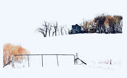 A landscape photography of a gate and past the gate which gates nothing is a field covered in fresh snow with a solitary abandoned farm house. Only the gate the house and some trees and shrubs remain.