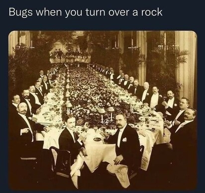 Bugs when you turn over a rock:

Everyyyone at the table is watching your way
