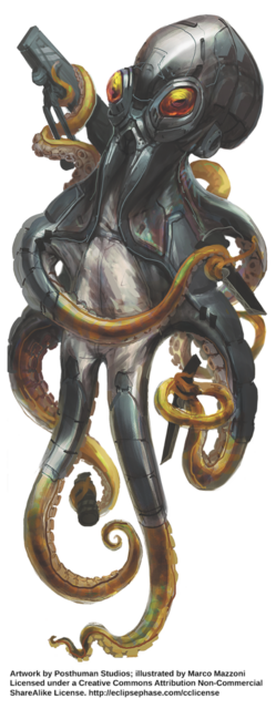 Octopus wearing a close fitting leather outfit, ends of yellow tentacles showing. Carrying some kind of weapon or tool behind its back with one tentacle. Yellow lenses cover eyes. 

Artwork by Posthuman Studios; 

Illustrated By Marco Mazzoni Licensed under a Creative Commons Altribution Non- Commercial ShareAlike License. 

Http://eclipsephase.com/cclicense