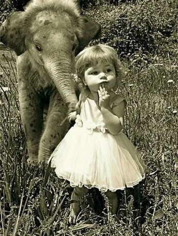Little girl leads a baby elephant by the trunk.