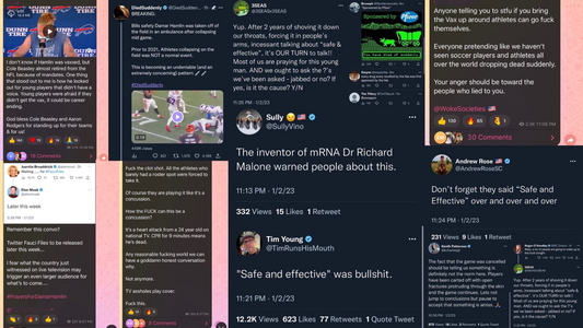 Collage of anti-vax social media posts.