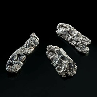 Three pieces of birch pitch, they look like pieces of black chewed chewing gum.