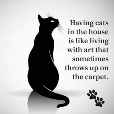 Having cats in the house is like living with art that sometimes throws up on the carpet.
