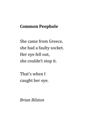 Common Peephole
 
She came from Greece,
she had a faulty socket.
Her eye fell out,
she couldn’t stop it.
 
That’s when I
caught her eye.


Brian Bilston