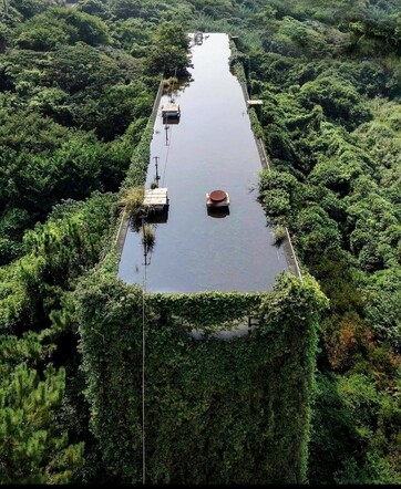 Photography. Color photo of a skyscraper with a swimming pool on the roof, that was completely overgrown by vegetation. Except for the roof with water, you can see only trees and bushes.
Info: From 1958 to 2001 coal was mined on the island. Several thousand people inhabited the island. There were multi-storey social housing, a hospital, stores, barbershops, a cinema and a market.  In 2001 the mine was closed and the houses have been uninhabited and overgrown by vegetation since then. For this reason, almost all the inhabitants left the island. Nowadays the population is only about 100 people.
The island can be reached by a short boat ride and is also accessible and explorable for tourists.