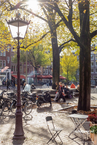 Beautiful public place in Amsterdam, trees, fountain, bikes and people enjoying